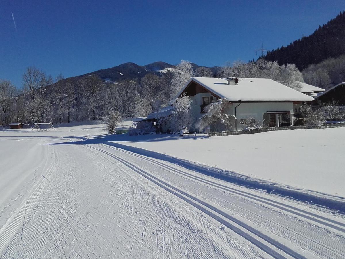 Ferienhaus Kahr Appartment Ennstal Radstadt Luaran gambar