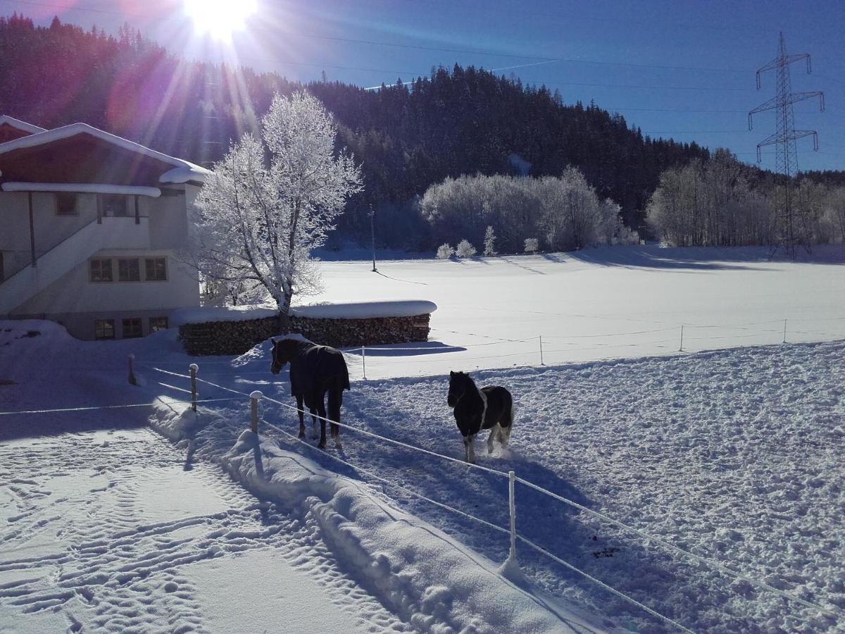 Ferienhaus Kahr Appartment Ennstal Radstadt Luaran gambar